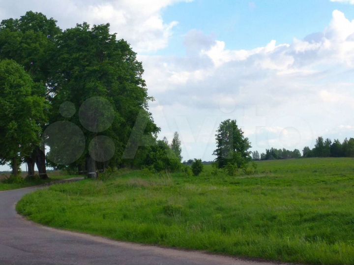 Участок 3,9 га (СНТ, ДНП)