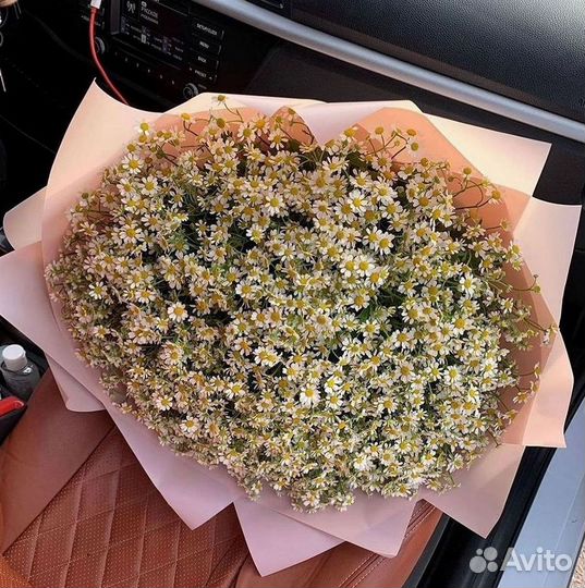 Ромашки Букет из ромашек доставка