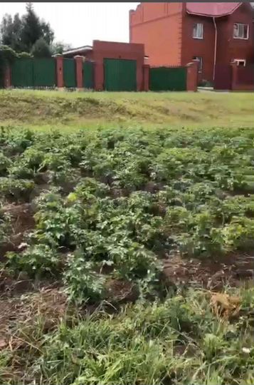 Участок 20 сот. (ИЖС)