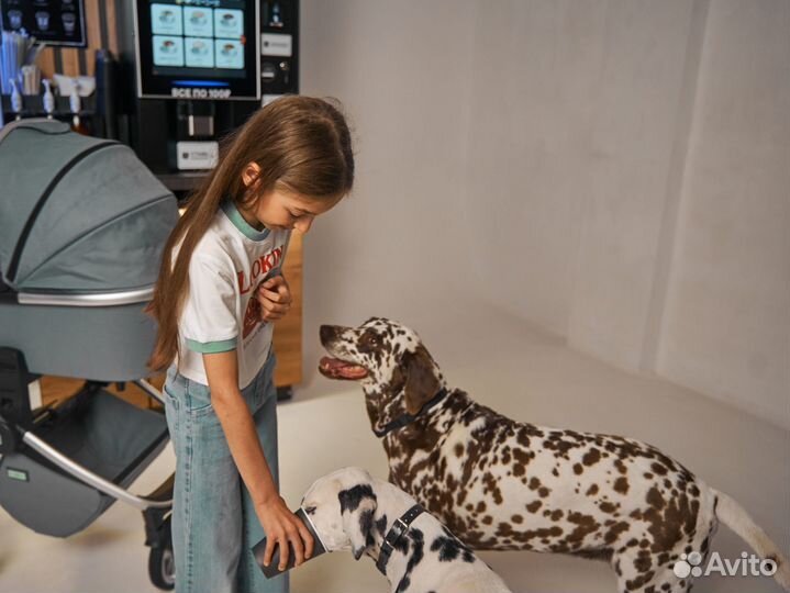 Кофейня самообслуживания готовый бизнес