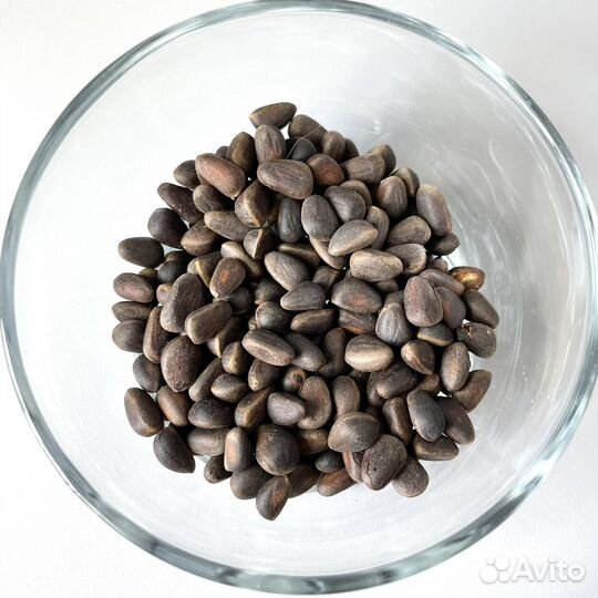 Скорлупа орехов макадамия