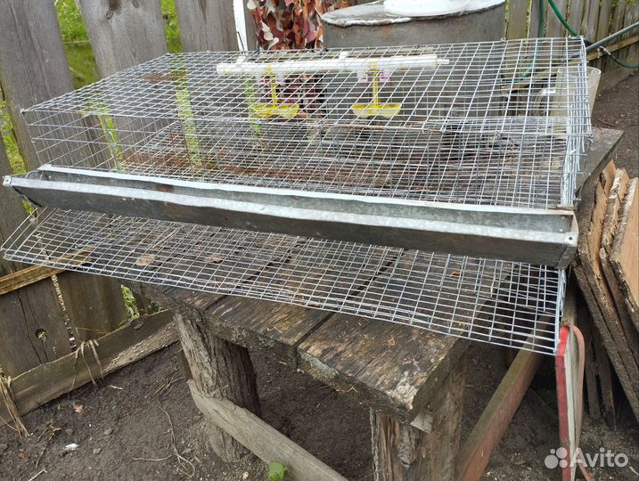 Клетки для перепелов