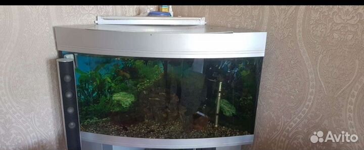 Аквариум с тумбой 130 литров