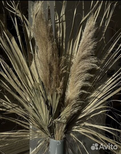 Листья пальмы