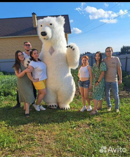 Белый Мишка Поздравление