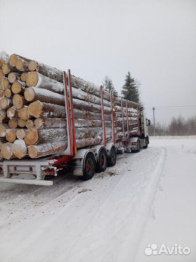 Лес кругляк