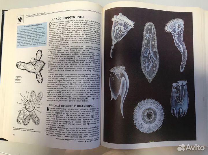 Энциклопедия для детей аванта