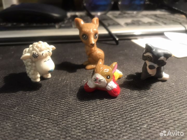 Киндер животные кенгуру овечка енот заяц