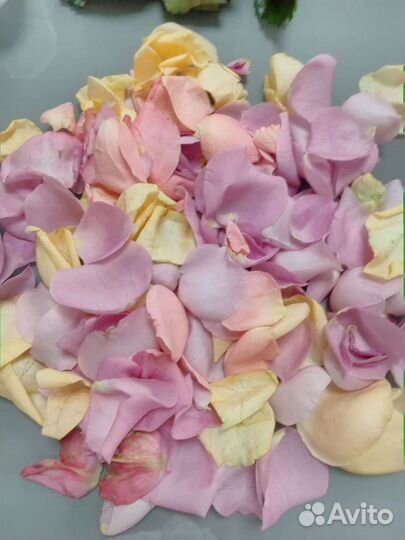 Лепестки роз