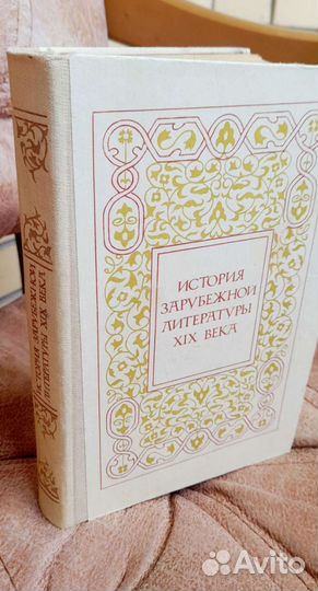 История литературы XIX века