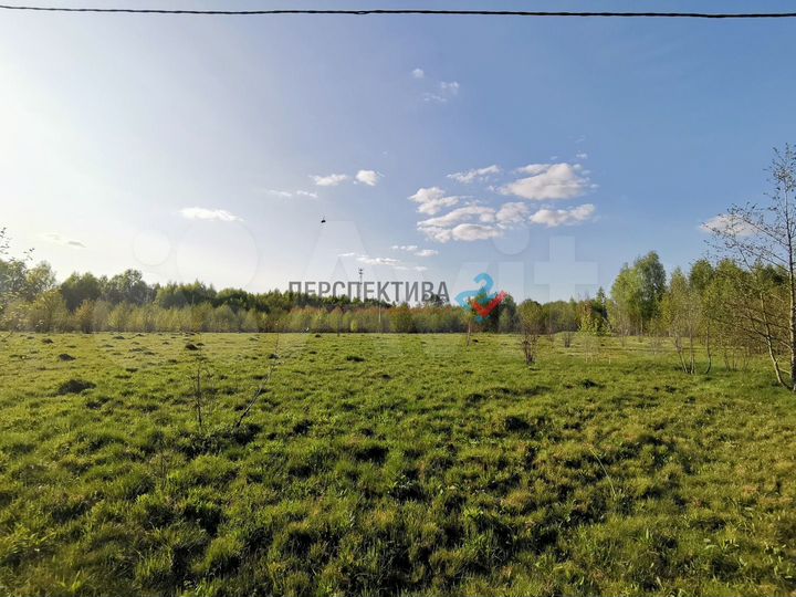 Участок 15 сот. (ИЖС)