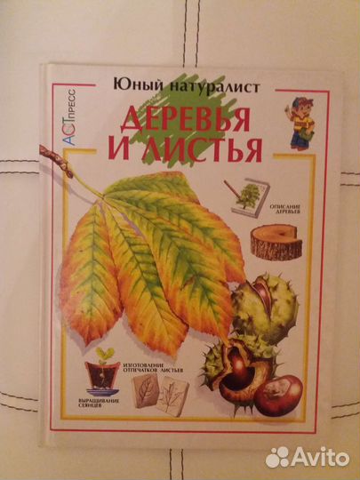 Познавательные книги