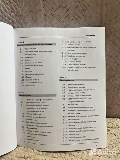 Атлас-раскраска анатомия неттера