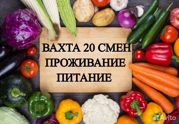 Упаковщик вахта без опыта Краснодар с проживанием