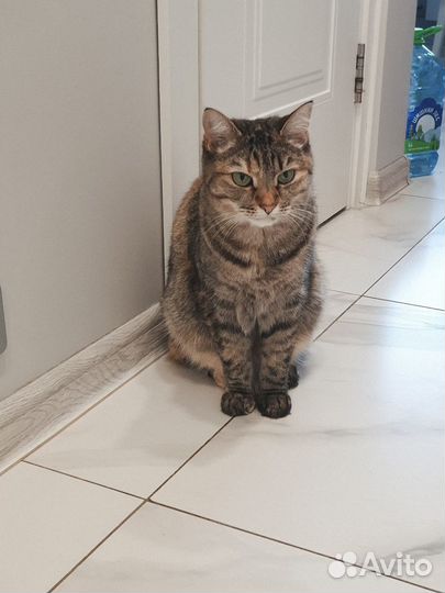 Умерла хозяйка