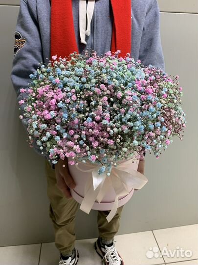 Гипсофилы 25 шт