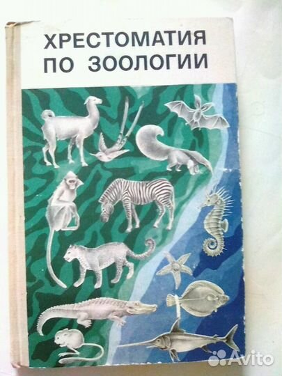 Книга. Хрестоматия по зоологии