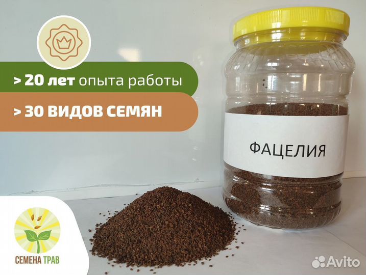 Семена фацелии