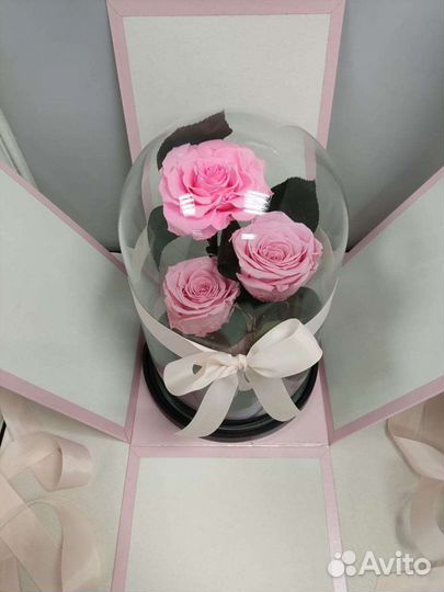 Роза в колбе