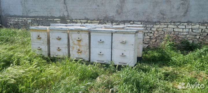 Пчелинные улья И мед
