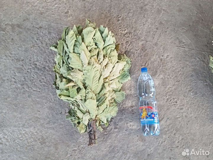 Веники дубовые