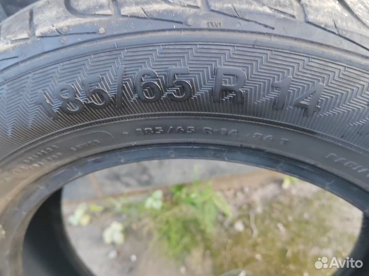 Gislaved Urban Speed 185/65 R14