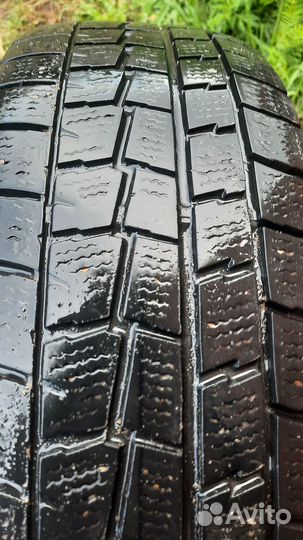 Dunlop SP Winter Maxx WM01 185/70 R14 88