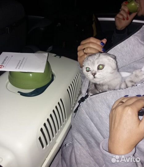 Доставка животных по всем городам РФ