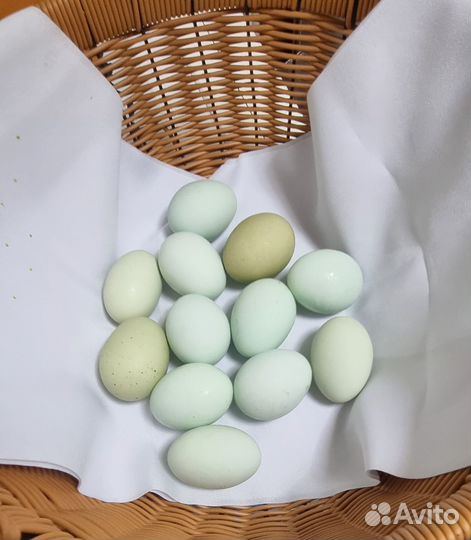 Яйца ухейилюй