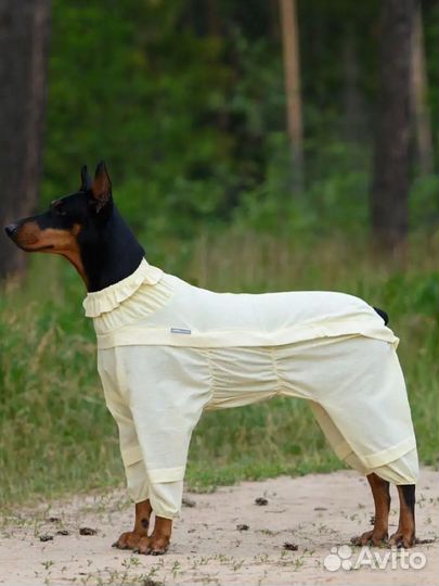 Комбинезон для собаки