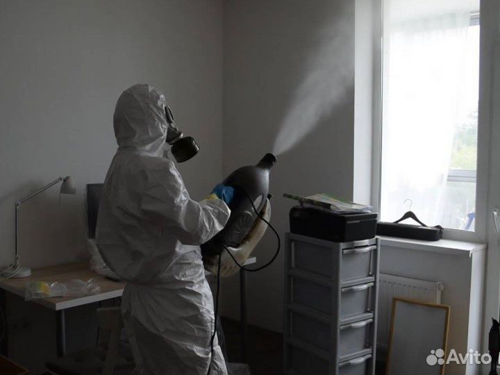 Уничтожение тараканов клопов грызунов дезинфекция