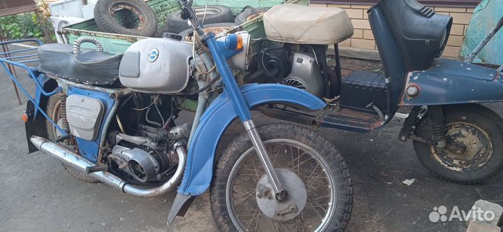 Продам муравей