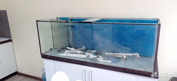 Аквариумистика