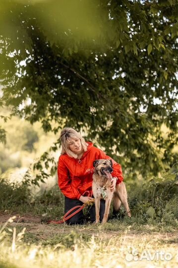 Миниатюрная Мия собака из приюта в добрые руки