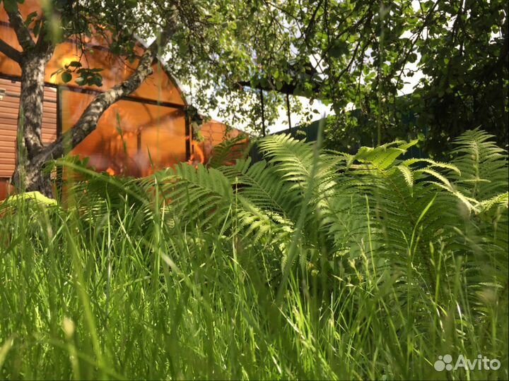 Русская баня В аренду