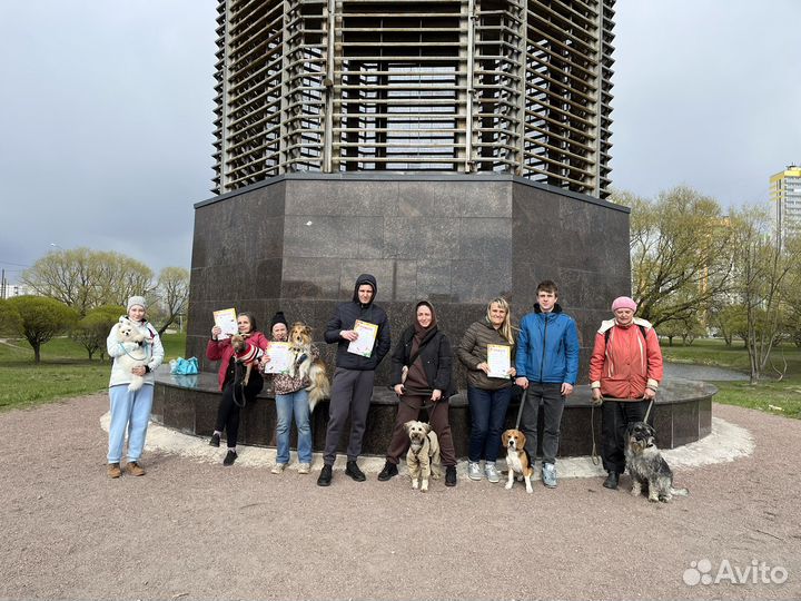 Набор в группу по дрессировке собак