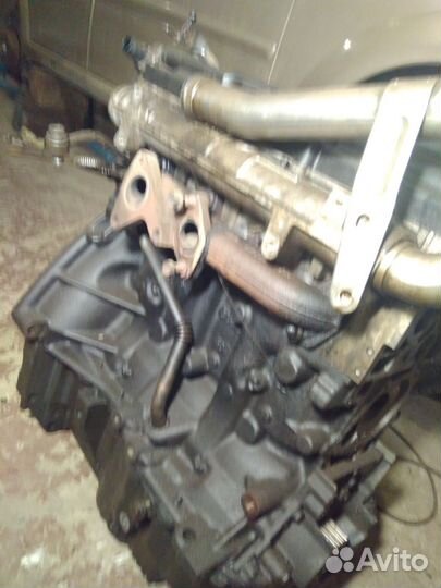 Рено megane 2 К9К гбц