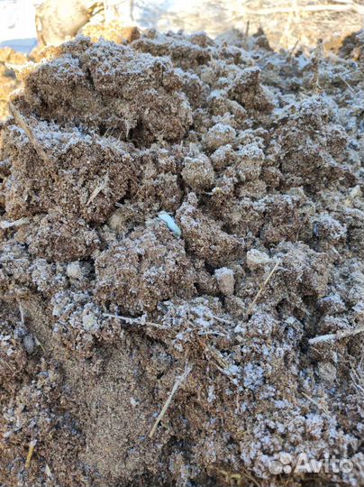 Куриный помëт