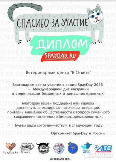 Кастрация котов и кошек