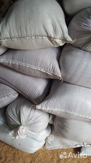 Зерно пшеница, ячмень, кукуруза