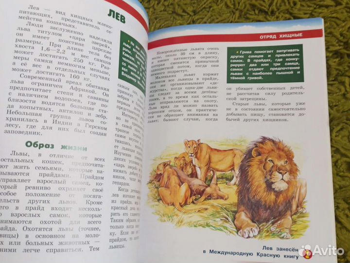 Детская энциклопедия Животные