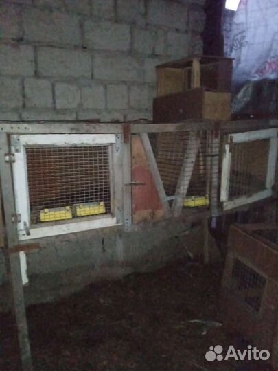 Клетка для кролика