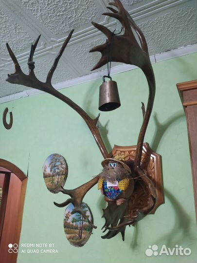 Продам рога оленя