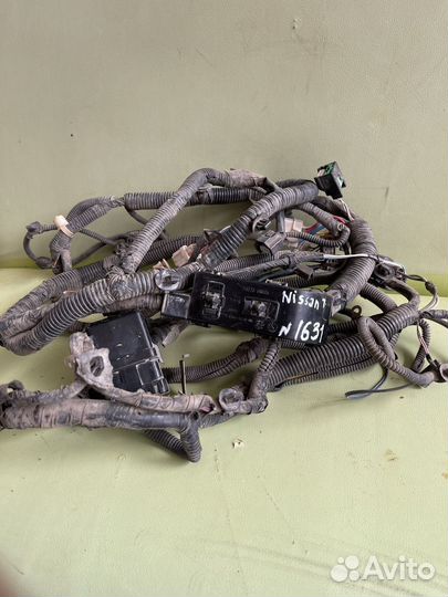 Nissan teana j32 Проводка под капот