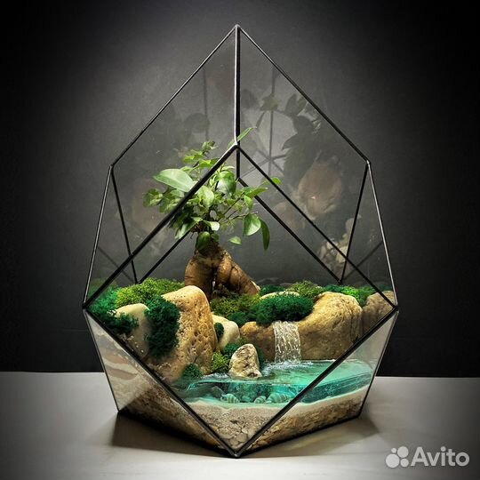Флорариум 
