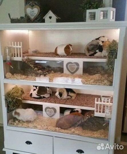 Зоогостиница