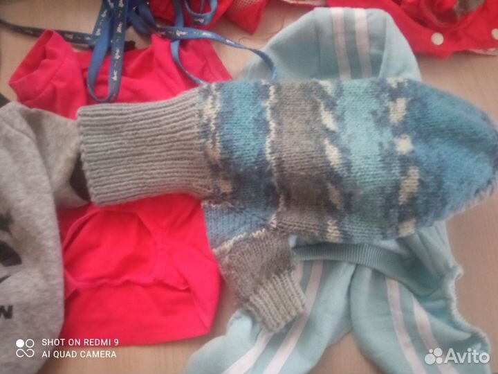 Вещи на мини Йорка мальчика