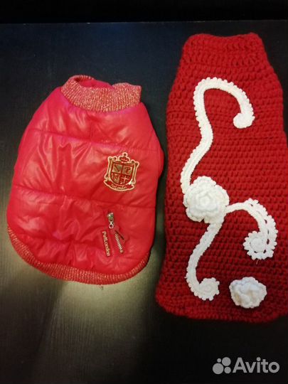 Одежда для собачки, шлейка-поводок