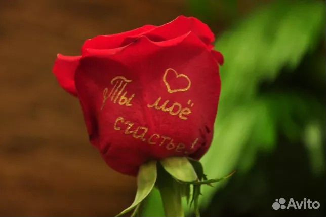 Флористические Био-фломастеры 