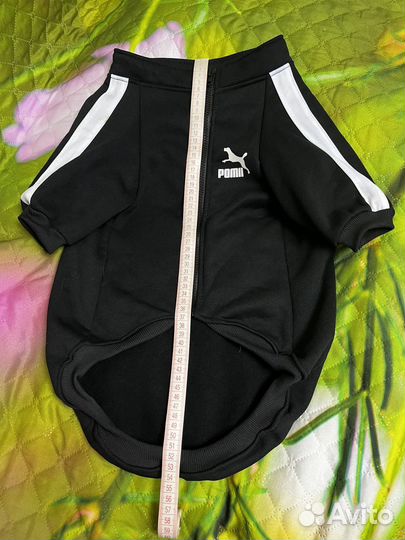 Толстовка для собаки